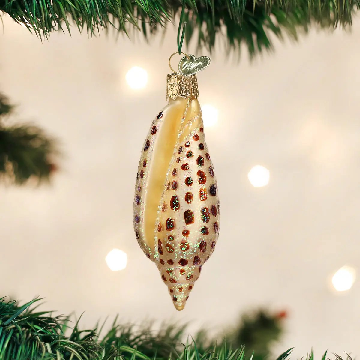 Junonia Shell Ornament Old World Christmas