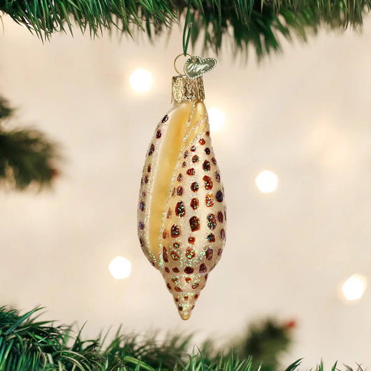 Junonia Shell Ornament Old World Christmas