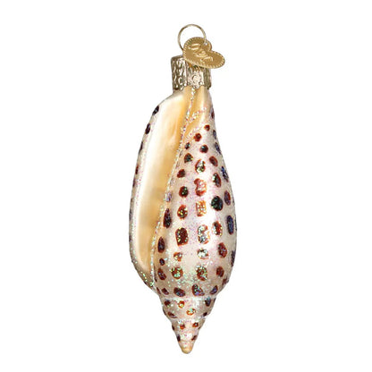 Junonia Shell Ornament Old World Christmas