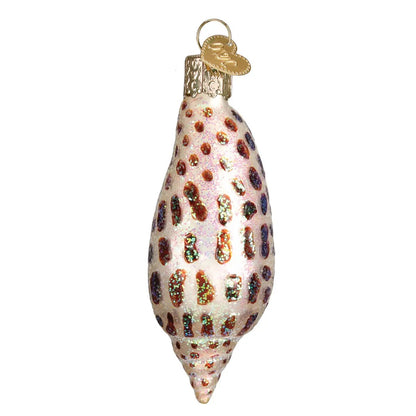 Junonia Shell Ornament Old World Christmas
