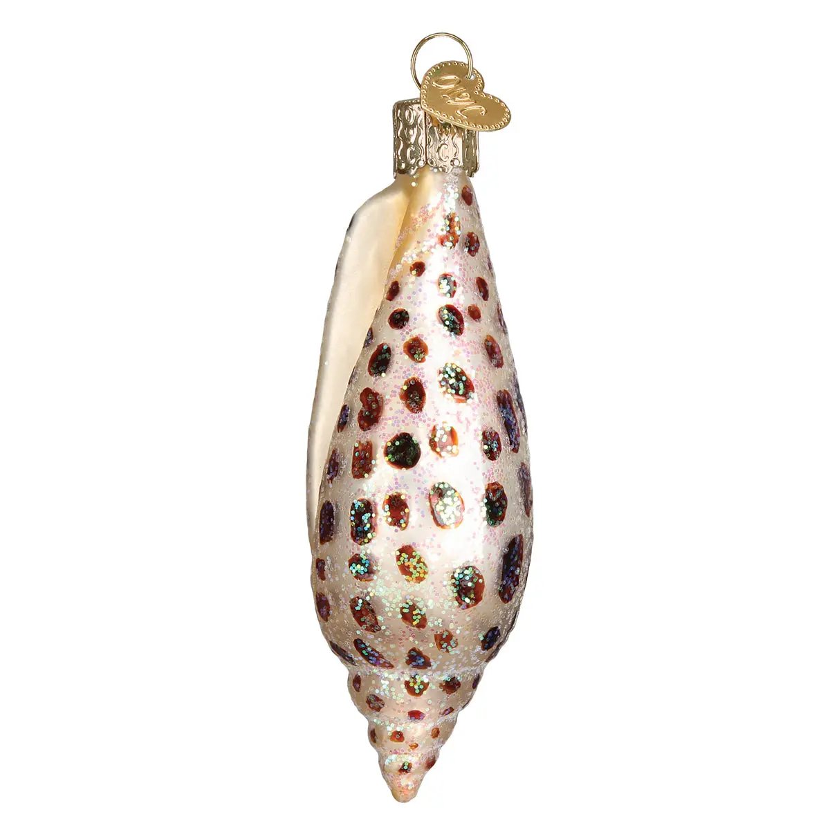 Junonia Shell Ornament Old World Christmas