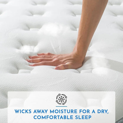 Queen 12 Inch Hybrid Mattress with Memory Foam Comfort-1