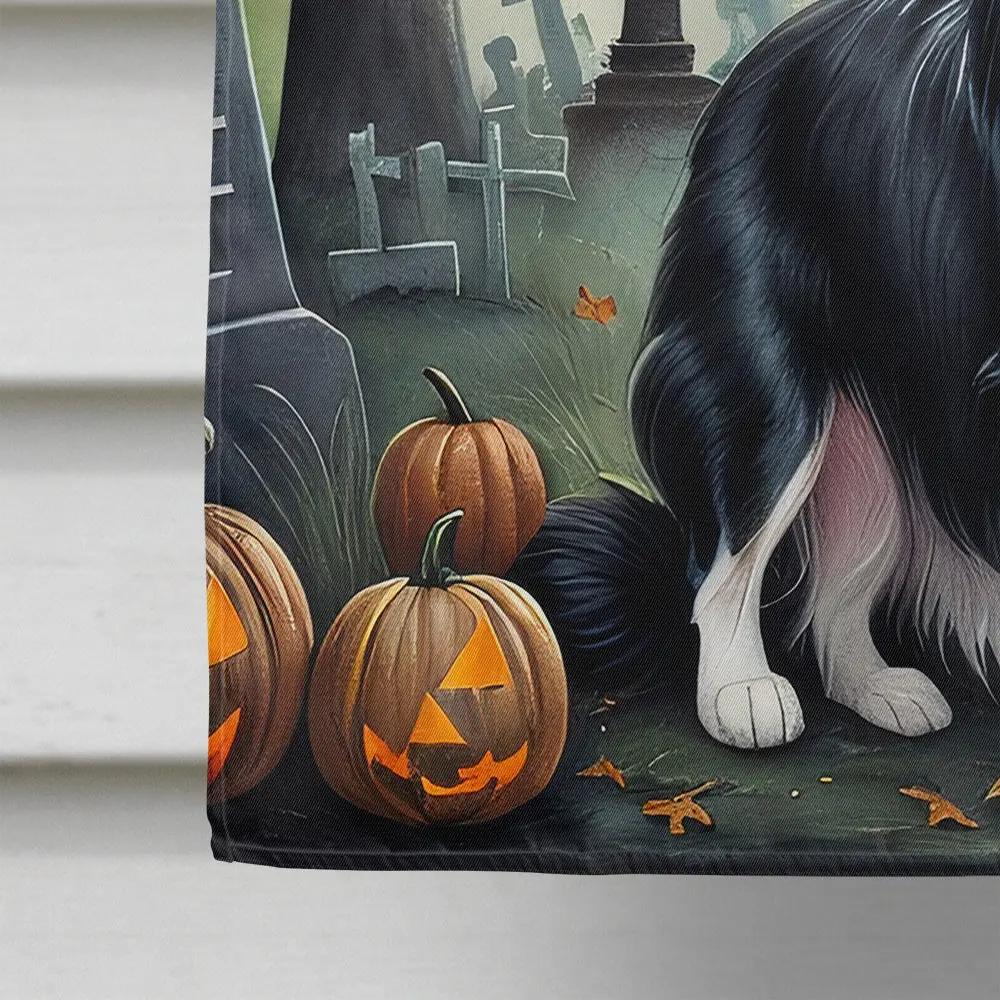 Border Collie Spooky Halloween House Flag - Vivid Treasure Zone