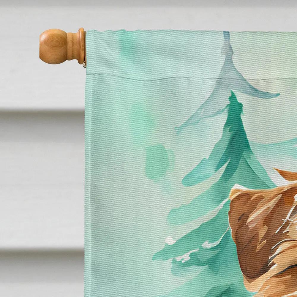 Norfolk Terrier Christmas House Flag - Vivid Treasure Zone