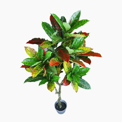 NNEDSZ 125cm Faux Artificial Home Decor Potted Codiaeum Plant NNEDSZ
