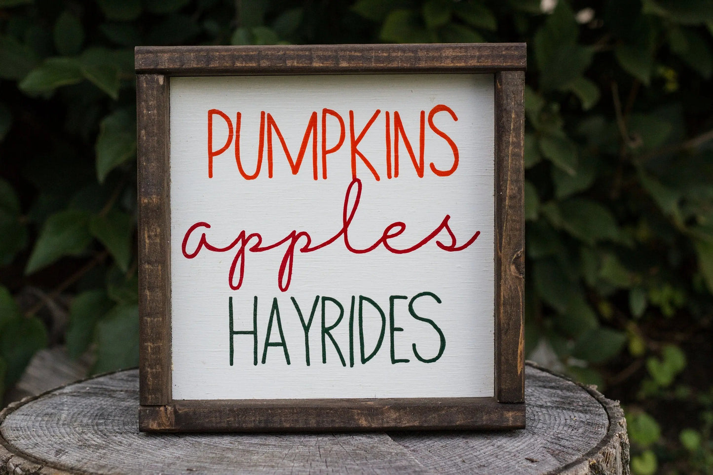 Pumpkins Apples Hayrides-1