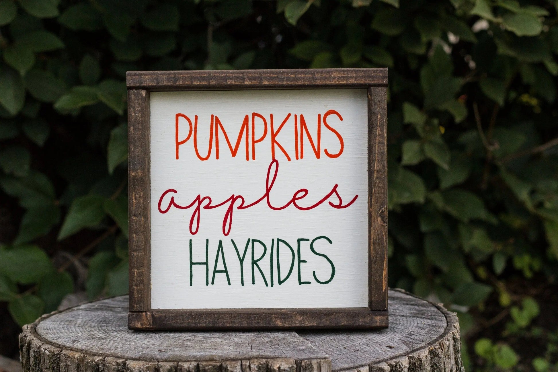 Pumpkins Apples Hayrides-3
