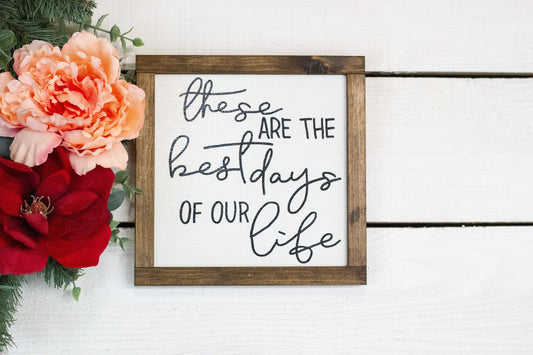 these are the best days of our life-0